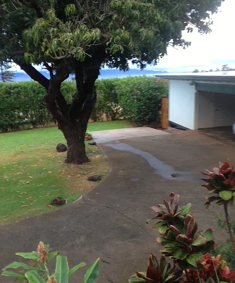 264A Elilani St — Photo 9