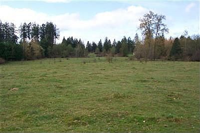 4th image of 26226 110th Ave E