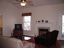 Vaulted living w/gas log