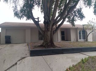 12509 Limpet Dr, Tampa, FL 33625