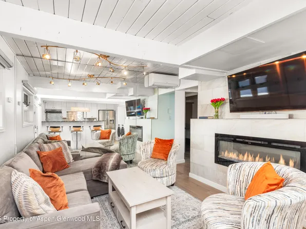630 E Cooper Ave #4, Aspen, CO 81611