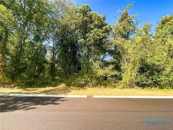 4822 Cinnamon Ln, Sylvania, OH 43560