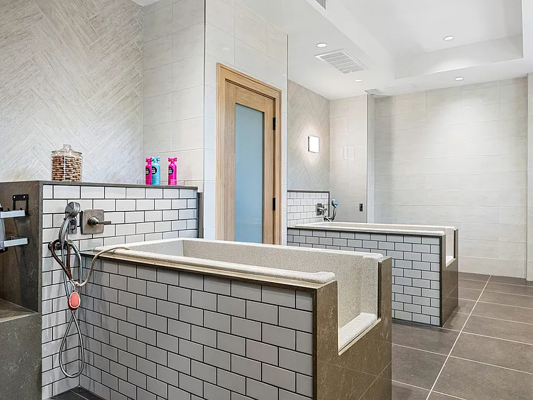 Modern pet washing room with elevated tubs and tiled finishes