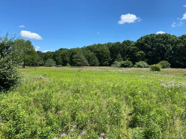 0 Alexander Rd, Howell, MI 48855