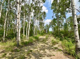 59201 Rng Rd #95, Saint Paul County No. 19, AB T0A3A0