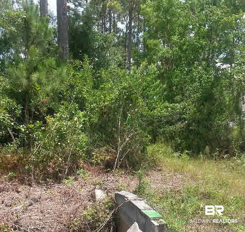 1st image of 0 E Boykin Blvd