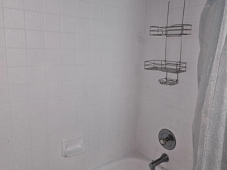 3228 Bristle Branch Dr — Photo 11