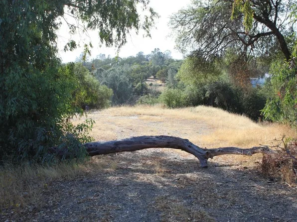 45945 Hawk Ln, Coarsegold, CA 93614