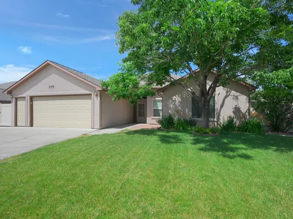 777 Silverplume Dr, Fruita, CO 81521