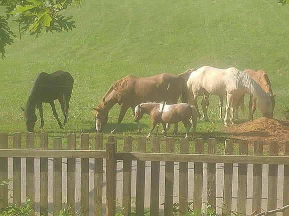 Right across the street