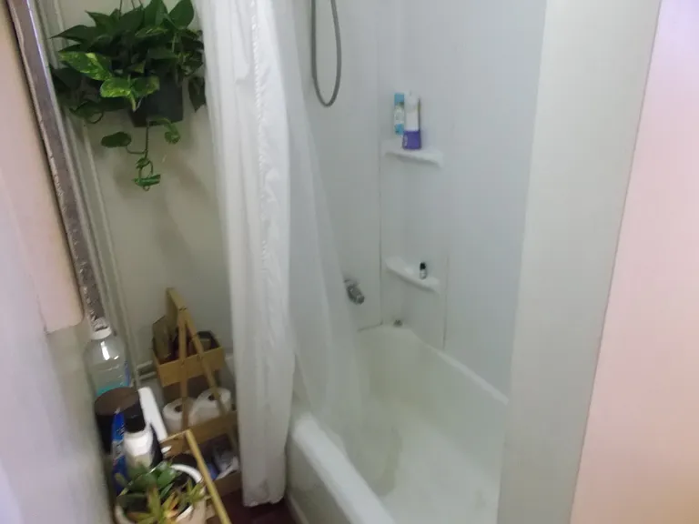 1232 E Palmer St #1 — Photo 4