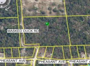 Masked Duck Rd, Brooksville, FL 34614