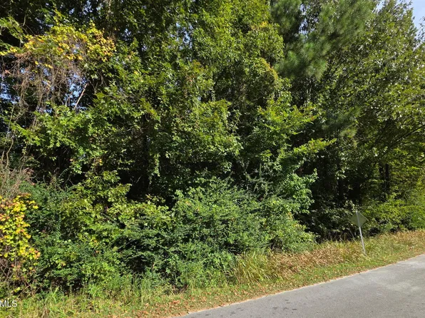 0 Brassie Drive, Grifton, NC 28530