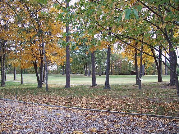 Backyard Golf Fairway