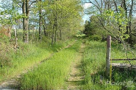 Lane from Farm Frd. 221 Leading to the Home
