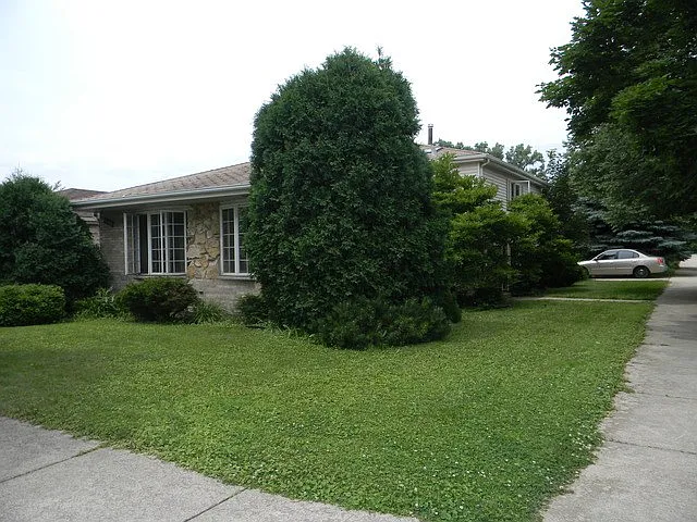4402 Maple Ave photo 1