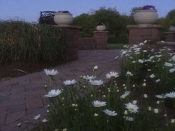 Walkway to patio