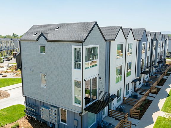 Lupine Longmont