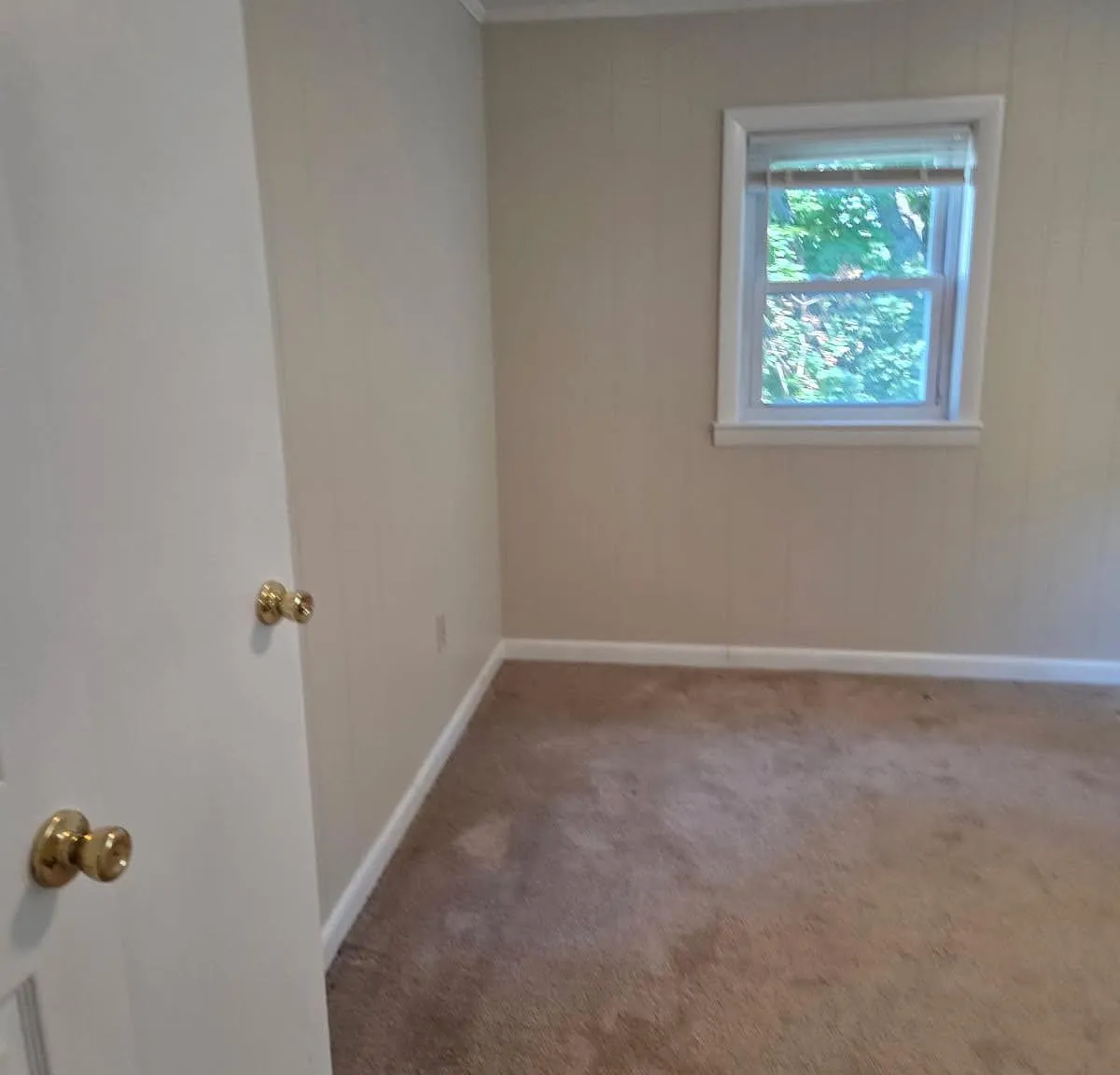 2 bed, 780 sqft, $1,800 — Photo 2