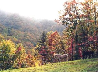 0 Gap Creek Rd, Zirconia, NC 28790