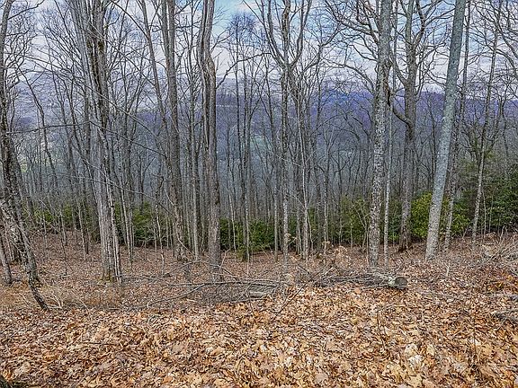 3rd image of TBD Lot #46 Woodlily Drive