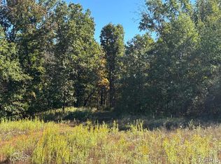 29 Leo Ln, Perry, MO 63462