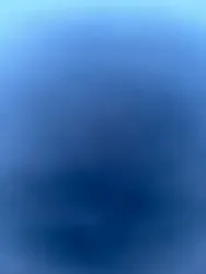 Rented by Minotaur Management