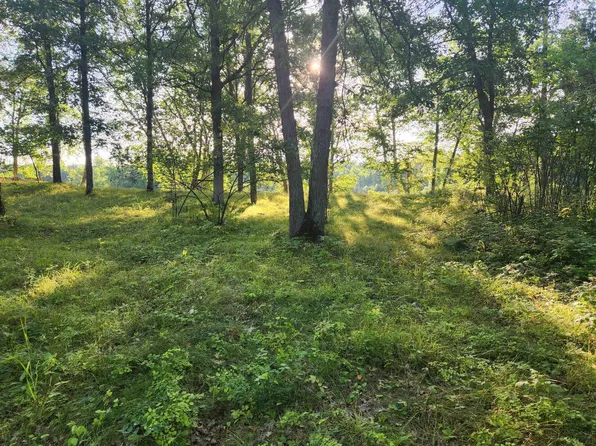 14825 Forest Dr, Park Rapids, MN 56470