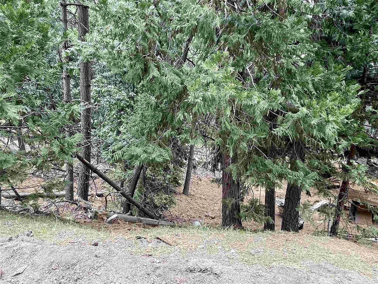 23999 Oxbow Ln S photo 1