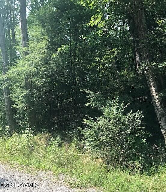 1790 Bobcat Dr, Mifflinburg, PA 17844 MLS 2086014 Zillow