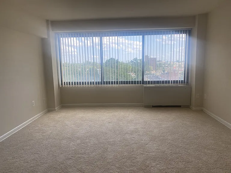 Silver Spring Towers — Photo 47