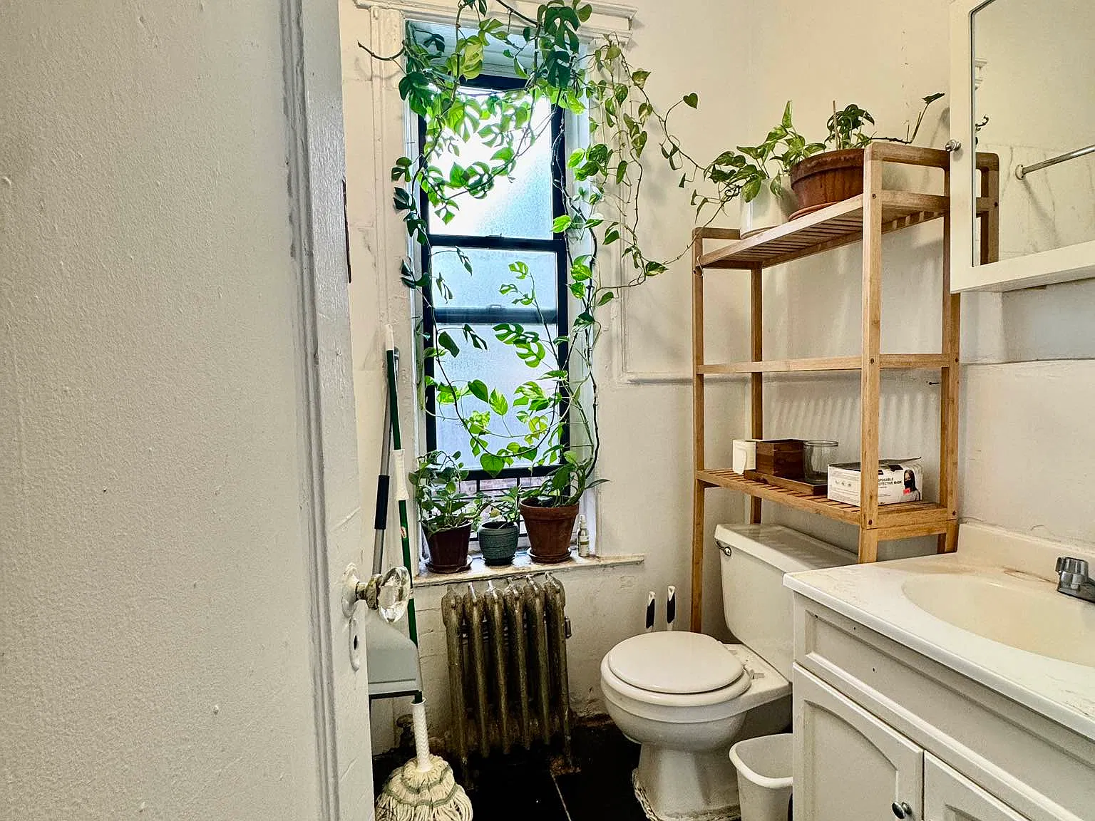 505 East 22nd Street — Photo 3