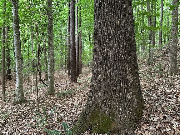 4th image of Smithford Rd
