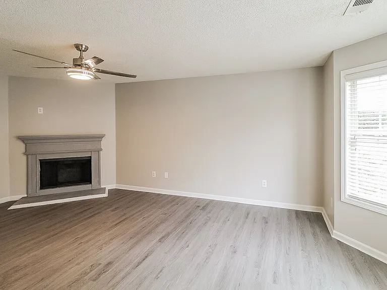 4739 Browns Mill Ferry Rd — Photo 4