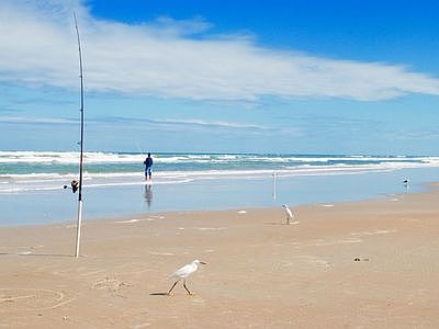 NEW SMYRNA BEACH IS A SHORT DRIVE FROM HERE.
THE RIVER IS EVEN CLOSER
