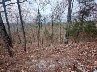 0 Long Leaf Trl #1, Warrior, AL 35180