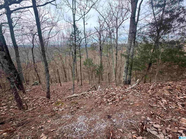 0 Long Leaf Trl #1, Warrior, AL 35180
