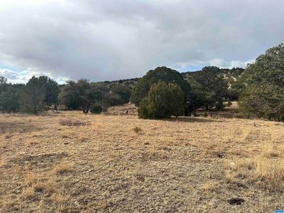 Xx Humbolt Mountain Rd, Hanover, NM, 88041