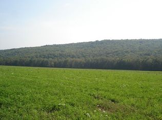 Wright Rd, Candor, NY 13743