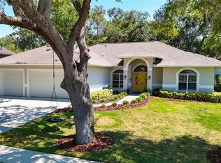 213 Water View Ct, Safety Harbor, FL 34695