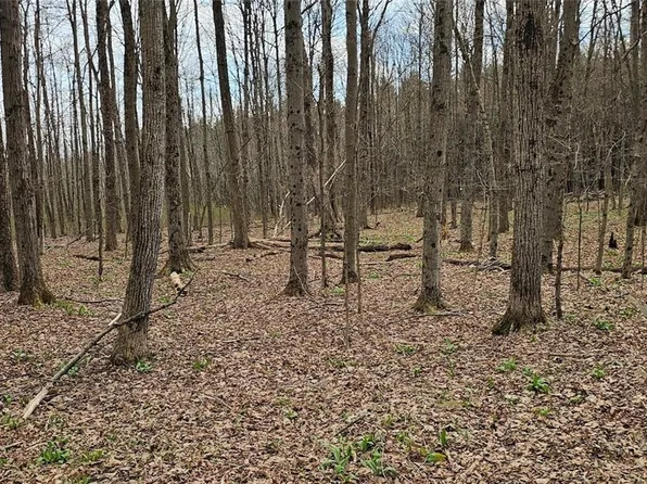 Level Green Road Caroline, Berkshire, NY 13736