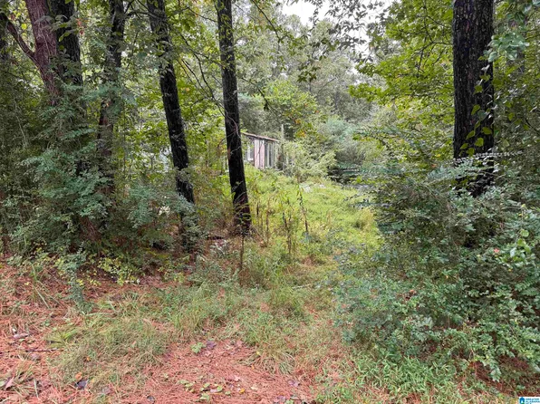 171 Rebecca Dr #0, Remlap, AL 35133