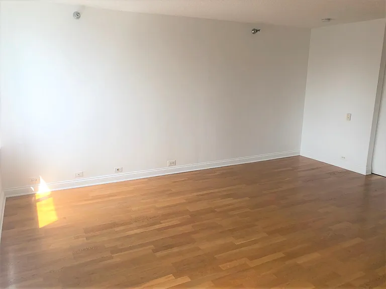 474 N Lake Shore Dr #4401 — Photo 4