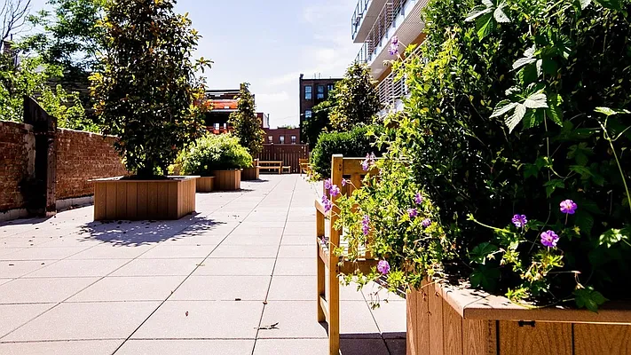 Rented by Nooklyn NYC LLC | media 108