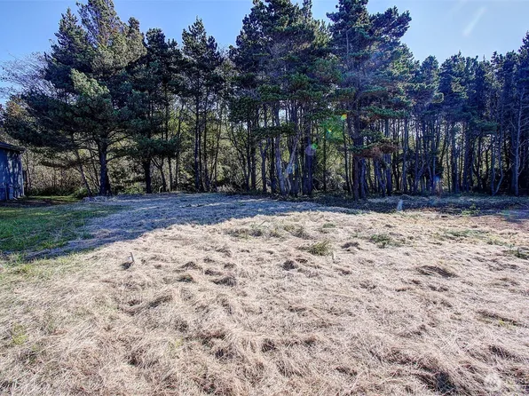 29908 H Street, Ocean Park, WA 98640