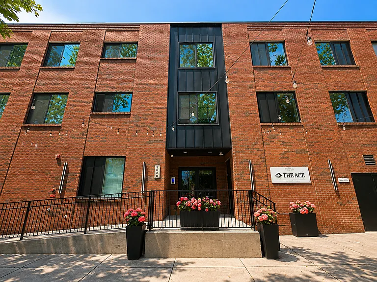 Gorgeous New Diamond St Construction Boasting Luxury Finishes — Photo 24
