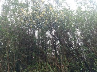 Lanai Rd LOT 858, Pahoa, HI 96778