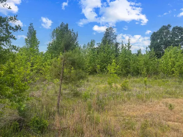 County Road 436, Water Valley, MS 38965