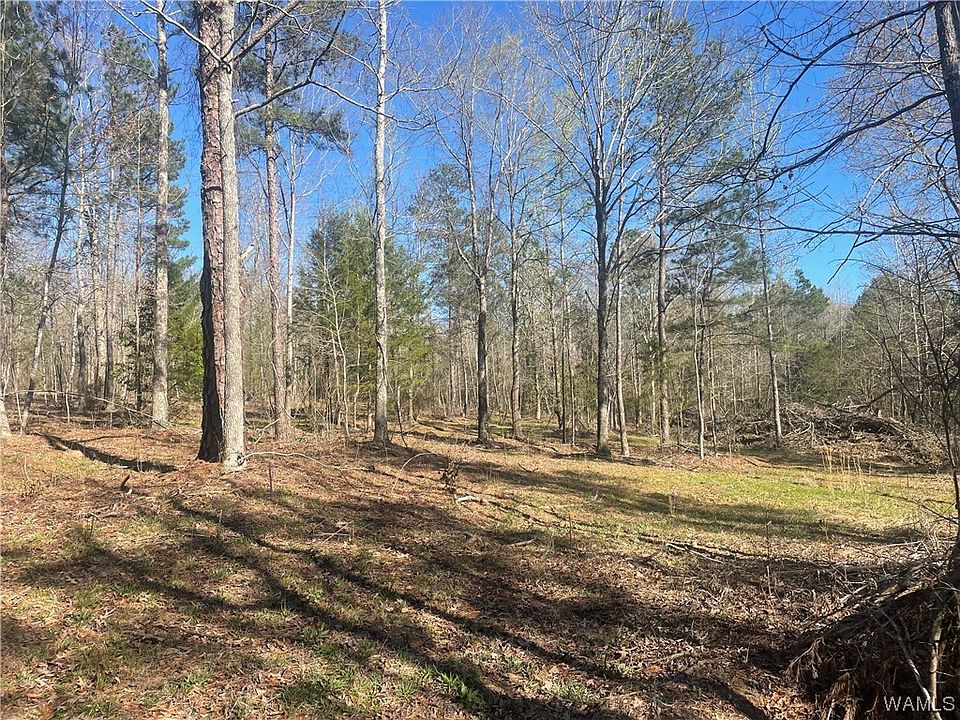 0 Lee Bonner Rd, Elrod, AL 35458 | Zillow