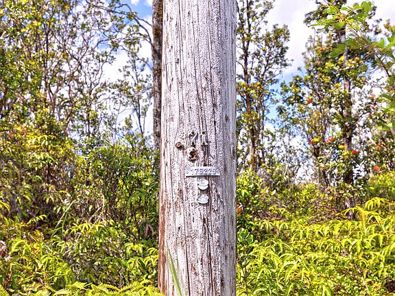 4th image of 11-2080 Omeka Rd Lot 69